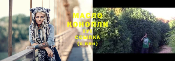 молекула духа Кулебаки