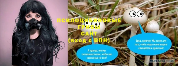 молекула духа Кулебаки