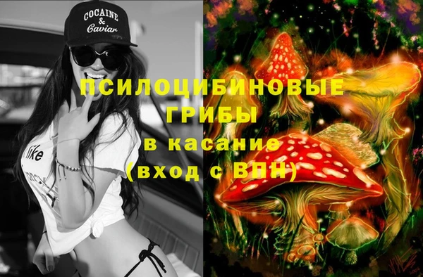 СК Куйбышев